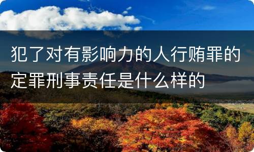 犯了对有影响力的人行贿罪的定罪刑事责任是什么样的