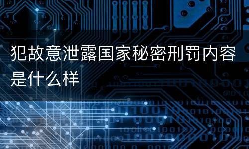 犯故意泄露国家秘密刑罚内容是什么样