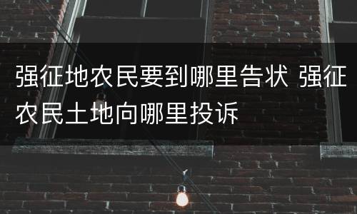 强征地农民要到哪里告状 强征农民土地向哪里投诉