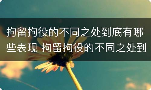 拘留拘役的不同之处到底有哪些表现 拘留拘役的不同之处到底有哪些表现呢