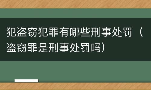 犯盗窃犯罪有哪些刑事处罚（盗窃罪是刑事处罚吗）