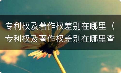 专利权及著作权差别在哪里（专利权及著作权差别在哪里查询）