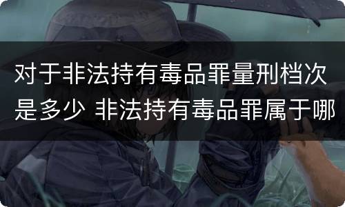 对于非法持有毒品罪量刑档次是多少 非法持有毒品罪属于哪一类