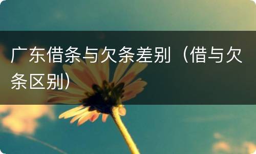 广东借条与欠条差别（借与欠条区别）