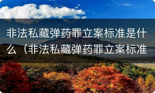 非法私藏弹药罪立案标准是什么（非法私藏弹药罪立案标准是什么意思）
