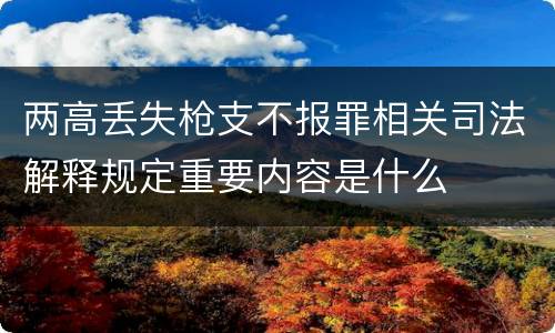 两高丢失枪支不报罪相关司法解释规定重要内容是什么
