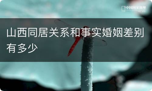 山西同居关系和事实婚姻差别有多少