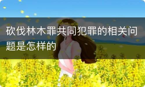砍伐林木罪共同犯罪的相关问题是怎样的