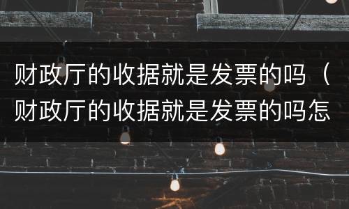 财政厅的收据就是发票的吗（财政厅的收据就是发票的吗怎么开）