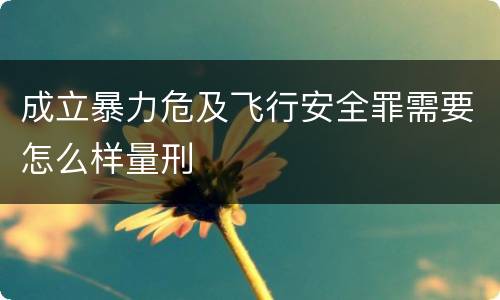 成立暴力危及飞行安全罪需要怎么样量刑
