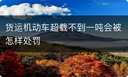 货运机动车超载不到一吨会被怎样处罚