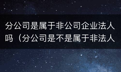 分公司是属于非公司企业法人吗（分公司是不是属于非法人企业）