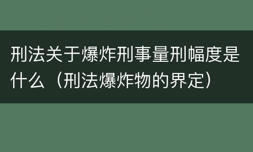 刑法关于爆炸刑事量刑幅度是什么（刑法爆炸物的界定）