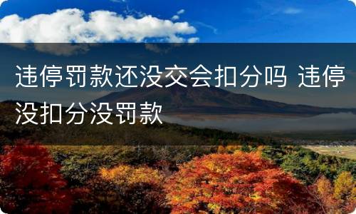 违停罚款还没交会扣分吗 违停没扣分没罚款