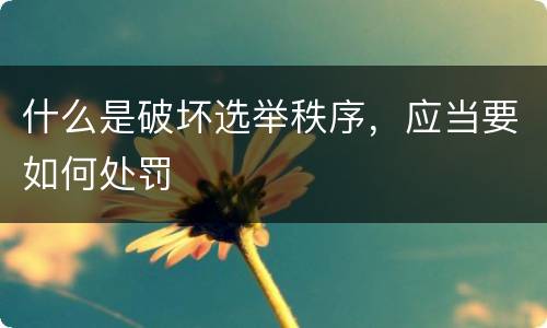 什么是破坏选举秩序，应当要如何处罚