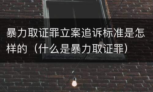 暴力取证罪立案追诉标准是怎样的（什么是暴力取证罪）