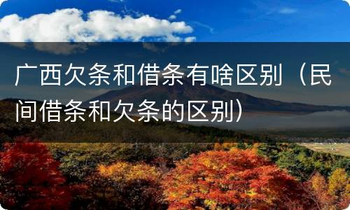 广西欠条和借条有啥区别（民间借条和欠条的区别）