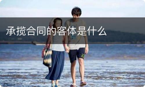 承揽合同的客体是什么