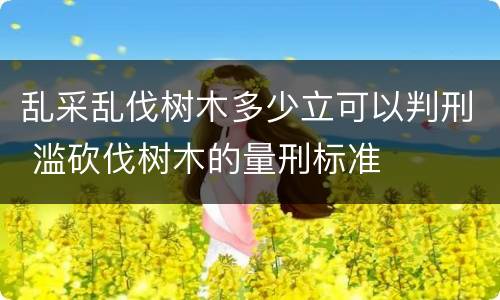 乱采乱伐树木多少立可以判刑 滥砍伐树木的量刑标准