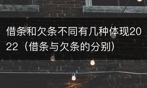 借条和欠条不同有几种体现2022（借条与欠条的分别）
