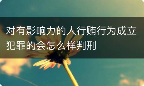 对有影响力的人行贿行为成立犯罪的会怎么样判刑