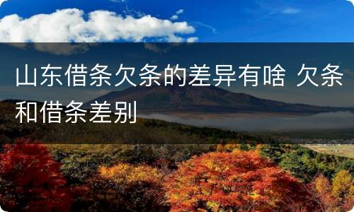 山东借条欠条的差异有啥 欠条和借条差别