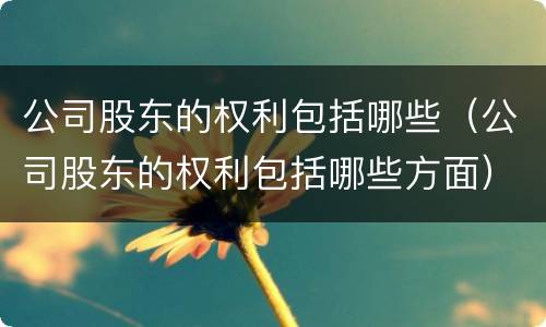 公司股东的权利包括哪些（公司股东的权利包括哪些方面）
