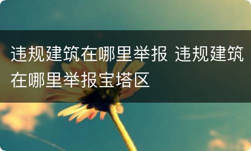 违规建筑在哪里举报 违规建筑在哪里举报宝塔区