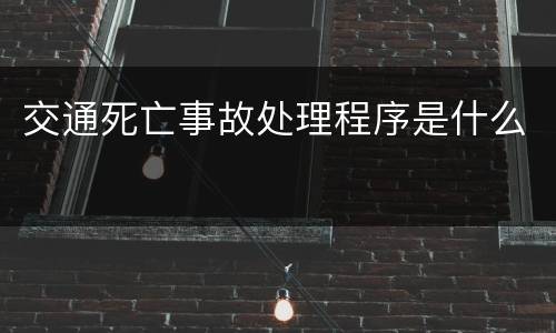 交通死亡事故处理程序是什么