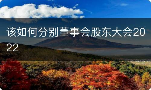 该如何分别董事会股东大会2022
