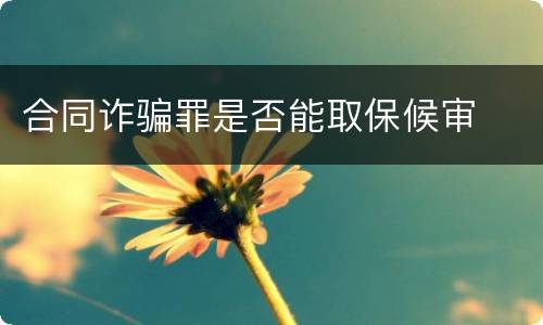 合同诈骗罪是否能取保候审