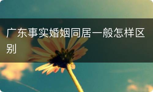 广东事实婚姻同居一般怎样区别