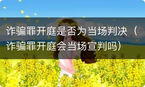 诈骗罪开庭是否为当场判决（诈骗罪开庭会当场宣判吗）
