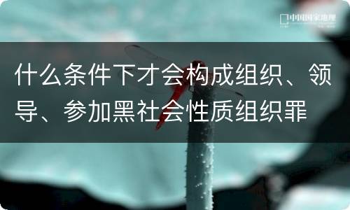 什么条件下才会构成组织、领导、参加黑社会性质组织罪