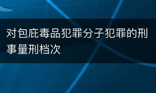对包庇毒品犯罪分子犯罪的刑事量刑档次
