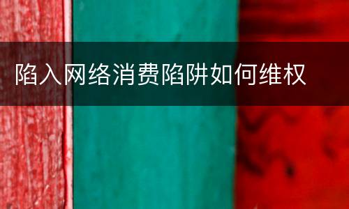 陷入网络消费陷阱如何维权