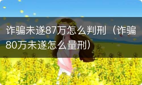 诈骗未遂87万怎么判刑（诈骗80万未遂怎么量刑）