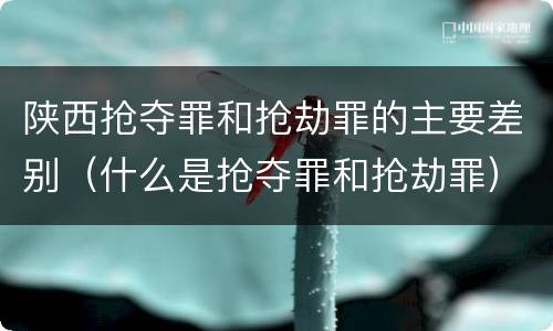 陕西抢夺罪和抢劫罪的主要差别（什么是抢夺罪和抢劫罪）