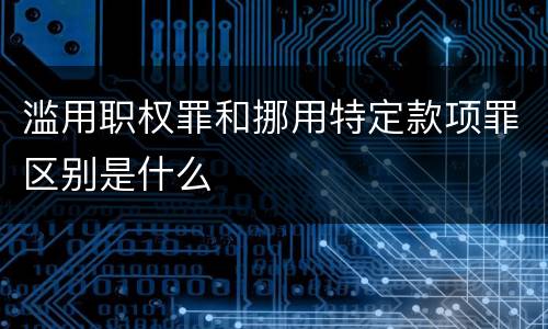 滥用职权罪和挪用特定款项罪区别是什么