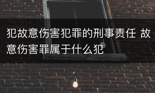 犯故意伤害犯罪的刑事责任 故意伤害罪属于什么犯