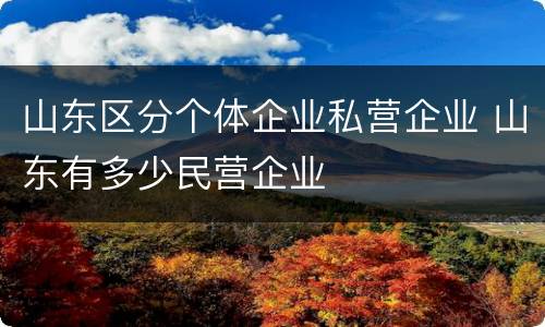山东区分个体企业私营企业 山东有多少民营企业