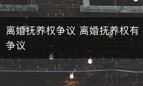 离婚抚养权争议 离婚抚养权有争议