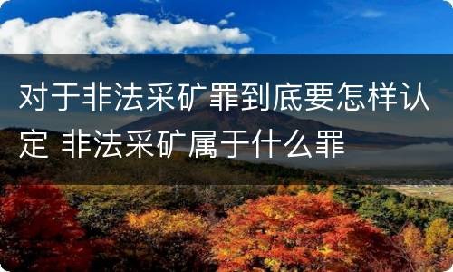 对于非法采矿罪到底要怎样认定 非法采矿属于什么罪