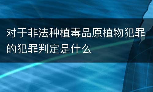 对于非法种植毒品原植物犯罪的犯罪判定是什么