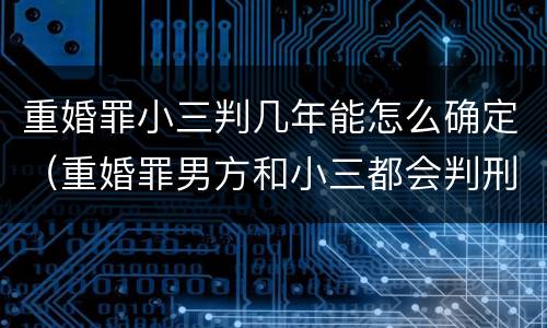 重婚罪小三判几年能怎么确定（重婚罪男方和小三都会判刑吗）