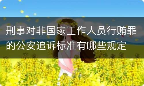刑事对非国家工作人员行贿罪的公安追诉标准有哪些规定
