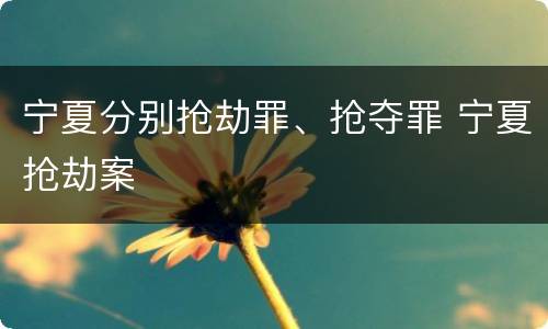 宁夏分别抢劫罪、抢夺罪 宁夏抢劫案