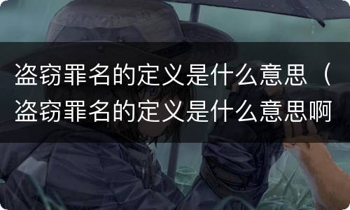 盗窃罪名的定义是什么意思（盗窃罪名的定义是什么意思啊）