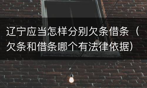 辽宁应当怎样分别欠条借条（欠条和借条哪个有法律依据）