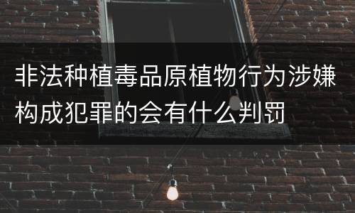 非法种植毒品原植物行为涉嫌构成犯罪的会有什么判罚